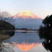 ころの画像