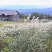 ポーの家の画像