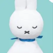 もゆの画像