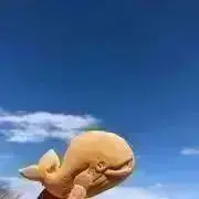 くさもち◡̈の画像