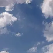 chaiの画像