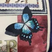 cocoの画像
