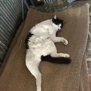 はるあかの画像