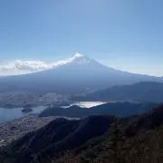 MOA03の画像