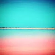 L.