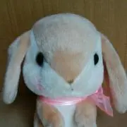 rinrin