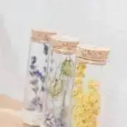 ベルガモット ※出品再開しました