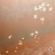 ビオレの画像