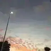 すぅの画像