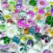 G.S.B.の画像
