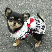 わんさくん※プロフ必読！