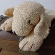 セージの画像