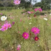 usm4387の画像