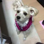 りーきやの画像