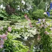 hana20157の画像