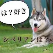 LR ※プロフ一読推奨の画像