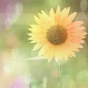 もぐもぐ