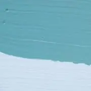 CTNの画像