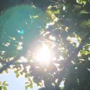ponpocoの画像