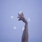 櫻の画像