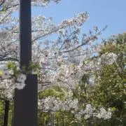プロフ必見★まとめ買い値引き致しますの画像