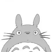 こゆまの画像