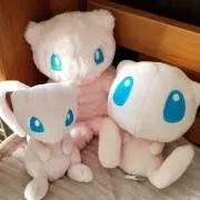 ZUNの画像