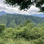 Image of miyoko