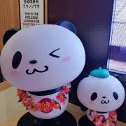 warawaraの画像