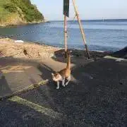 ラヴィの画像