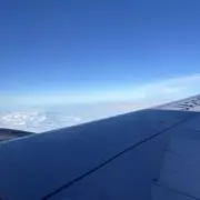 マイケル　断捨離中の画像