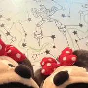 ぽちの画像