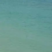みなみの画像