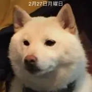 hideの画像