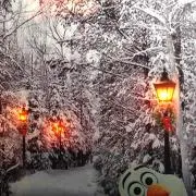 タミ*ラスト1日で取り下げます