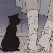 うさぎの画像