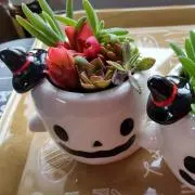 まり※