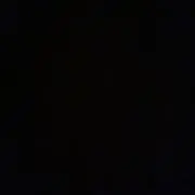 くぅの画像