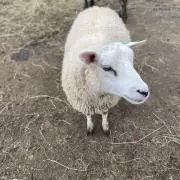 まさとの画像