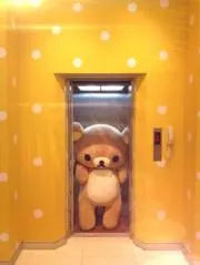 もみじ