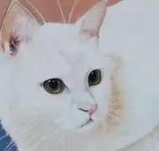 riku99の画像