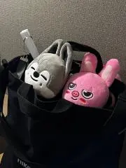ゆきちの画像