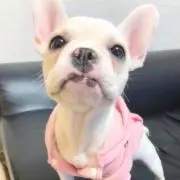 Pちゃん☆