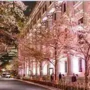 ☘️てんねんかこの画像