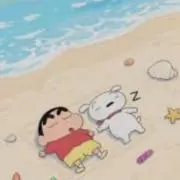なずなの画像