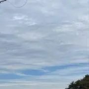 ルンの画像