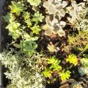 み⭐︎の画像