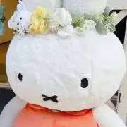 うさぎ♡の画像