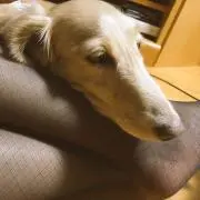 むる