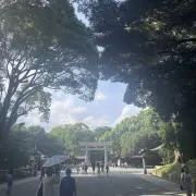 アニーの画像